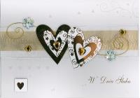 Opakowanie Karnet ślubny B6 Premium 24 (5szt)