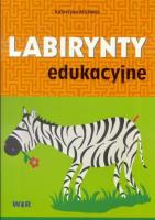 Okładka książki Labirynty edukacyjne