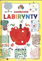 Zakręcone labirynty. Autor: Anastasia Zanoncelli. SmakLiter.pl Okładka książki Zakręcone labirynty