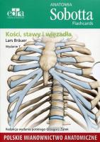 Anatomia Sobotta Flashcards Kości stawy i więzadła. Autor: Lars Brauer. SmakLiter.pl Okładka książki Anatomia Sobotta Flashcards Kości stawy i więzadła