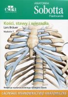 Anatomia Sobotta Flashcards Kości stawy i więzadła. Autor: Lars Brauer. SmakLiter.pl Okładka książki Anatomia Sobotta Flashcards Kości stawy i więzadła