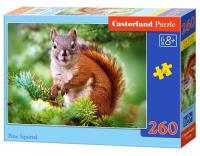 Opakowanie Puzzle 260 Pine Squirrel