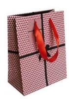 Opakowanie Torebka prezentowa 18x23 CHRISTMAS JOY