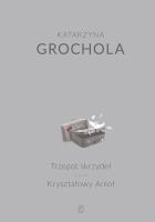 Trzepot skrzydeł, Kryształowy Anioł. Autor: Katarzyna Grochola. SmakLiter.pl Okładka książki Trzepot skrzydeł, Kryształowy Anioł