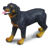Opakowanie Collecta. Pies rasy rottweiler.