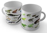 Opakowanie Kubek - Płazy SOLITON