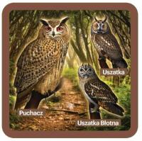Opakowanie Podkładki pod kubek z sowami, zestaw 2szt