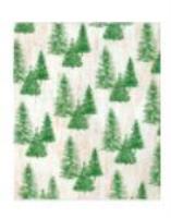 Opakowanie Torebka przezentowa 18x23