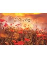 Opakowanie A Kartka składana - Dziękuję