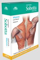 Anatomia Sobotta Flashcards Mięśnie Łacińskie mianownictwo anatomiczne. Autor: Lars Brauer. SmakLiter.pl Okładka książki Anatomia Sobotta Flashcards Mięśnie Łacińskie mianownictwo anatomiczne