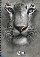 Zdjęcie produktu Kołobrulion A4 w kratkę 100 kartek z perforacją i kolorowymi registrami Wild tygrys