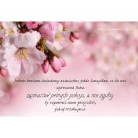 Opakowanie Magnes na lodówkę - Jestem Bowiem świadomy Jabłoń