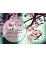 Opakowanie Magnes na lodówkę - Niech się nie niepokoi