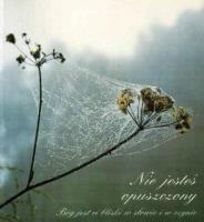 Nie jesteś opuszczony. Autor: Gabriele. SmakLiter.pl Okładka książki Nie jesteś opuszczony