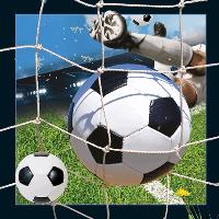 Opakowanie Pocztówka 3D - Piłka nożna