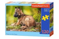 Opakowanie Puzzle Puppy in the Forest 120