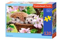 Puzzle Springtime 120. Wydawca: Castorland. SmakLiter.pl Opakowanie Puzzle Springtime 120