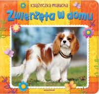 Okładka książki Zwierzęta w domu. Książeczka malucha
