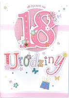 Opakowanie Karnet 18-stka B6 Premium 6 + koperta