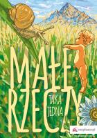 Małe rzeczy. Autor: Taka Jedna. SmakLiter.pl Okładka książki Małe rzeczy