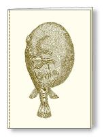 Opakowanie Notatnik ozdobny A5 64 kartki BR NB S03A