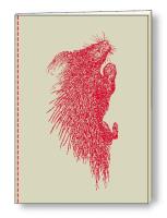 Opakowanie Notatnik ozdobny A5 64 kartki BR NB S09A