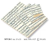 Okładka książki Notes ozdobny A5 BR 50 kartek NP V20C