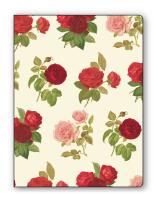 Okładka książki Teczka na dokumenty FF 534B