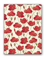 Okładka książki Teczka na dokumenty FF 583B