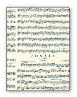 Okładka książki Teczka na dokumenty FF V20B