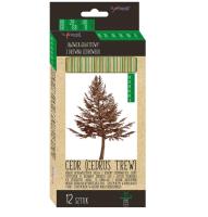 Ołówek sześciokątny z drewna cedrowego 12szt HB-2H. Wydawca: St. Majewski. SmakLiter.pl Opakowanie Ołówek sześciokątny z drewna cedrowego 12szt HB-2H