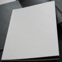 Dominik Lejman Płot - katalog do wystawy. Wydawca: Galeria Miejska Arsenał. SmakLiter.pl Opakowanie Dominik Lejman Płot - katalog do wystawy