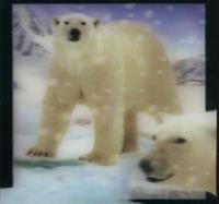 Opakowanie Magnes 3D