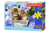 Puzzle Cute Kittens 60. Wydawca: Castorland. SmakLiter.pl Opakowanie Puzzle Cute Kittens 60