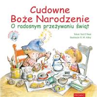Okładka książki Cudowne Boże Narodzenie