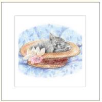 Opakowanie Karnet rysowany kot w kapeluszu 16x16 + koperta