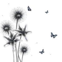 Opakowanie Karnet Swarovski kwadrat CL0321_BL