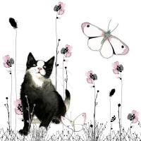 Opakowanie Karnet Swarovski kwadrat Kot i motyl