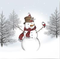 Opakowanie Karnet Swarovski kwadrat Święta Bałwan