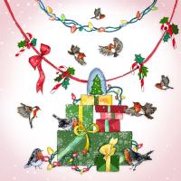 Opakowanie Karnet Swarovski kwadrat Święta Prezenty ptaki