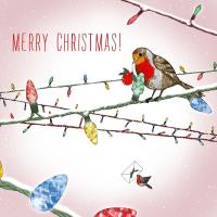 Opakowanie Karnet Swarovski kwadrat Święta Ptaszek na lampkach Napis