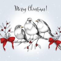 Opakowanie Karnet Swarovski kwadrat Święta Ptaszki na gałęzi Napis