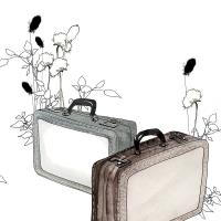 Okładka książki Karnet Swarovski kwadrat Walizki