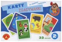 Karty zgadywanki. Wydawca: Alexander. SmakLiter.pl Opakowanie Karty zgadywanki