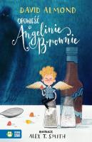 Opowieść o Angelinie Brownie. Autor: Almond David. SmakLiter.pl Okładka książki Opowieść o Angelinie Brownie