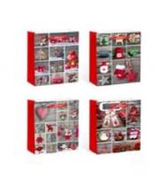 Opakowanie Torebka upominkowa św KR 880 L