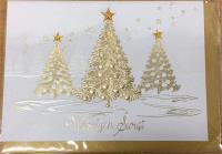 Opakowanie Karnet Boże Narodzenie B6 Premium 5 + koperta