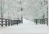 Opakowanie Karnet Św mini Zimowe Ślady (20szt)