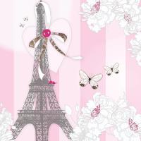 Opakowanie Karnet Swarovski kwadrat CL0525