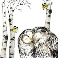 Opakowanie Karnet Swarovski kwadrat CL1206